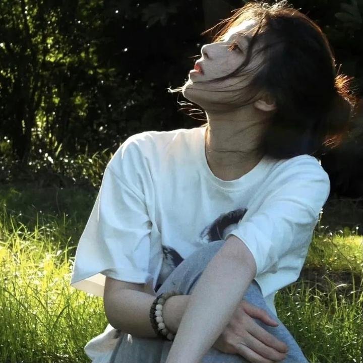 侠岚第二季